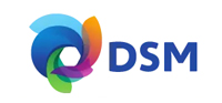 DSM-海陽客戶